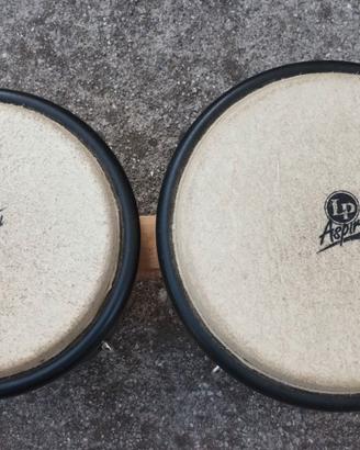 Bongo LP Aspire