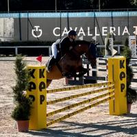 Cavalli