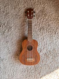 Ukulele Flight