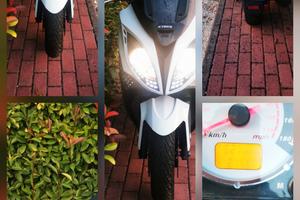 Scooter Kymko 300 X citing.