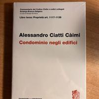 Alessandro Ciatti Càimi - Condominio negli edifici