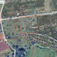 Terreno con pozzo, ideale per apicoltura