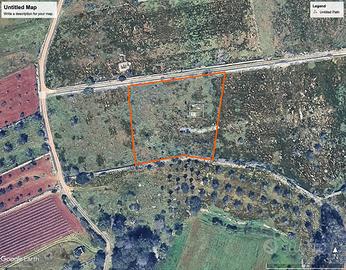 Terreno con pozzo, ideale per apicoltura