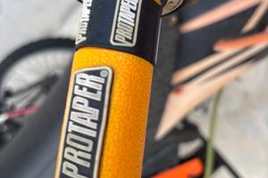Manopole protaper