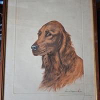 Ritratto di Setter di Leon Danchin