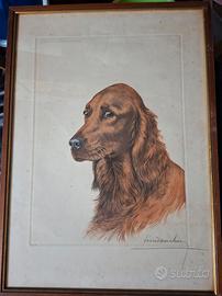 Ritratto di Setter di Leon Danchin