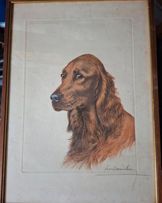 Ritratto di Setter di Leon Danchin