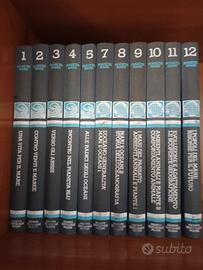 Enciclopedia Pianeta Mare 
