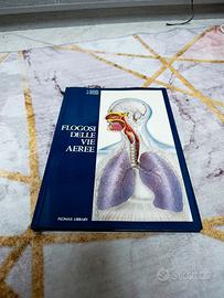 Flogosi delle vie aeree 