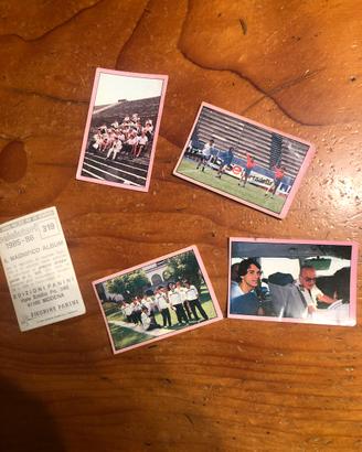 Figurine panini