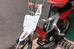 piaggio bravo Monferraglia 