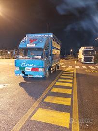 trasporto animali vivi