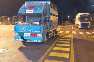 trasporto animali vivi