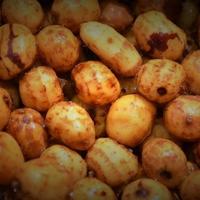 Tiger Nuts Pronte Mais Carpfishing