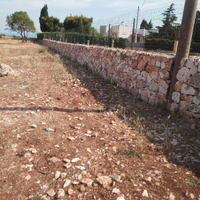 Muratore specializzato