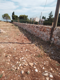 Muratore specializzato