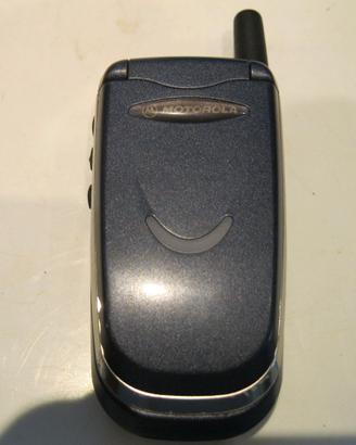 Cellulare Motorola V51