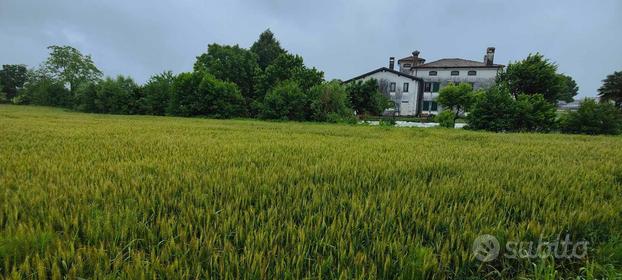 Terreno, Valdagno.