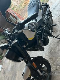 Benelli Leoncino 250