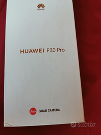 Hawaii p30 pro 256 gb interni