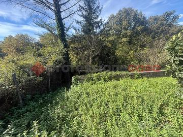 Terreno Agricolo San Polo dei Cavalieri