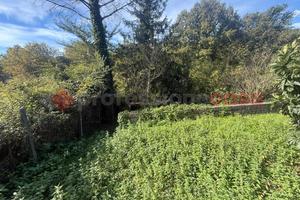 Terreno Agricolo San Polo dei Cavalieri