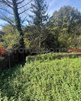 Terreno Agricolo San Polo dei Cavalieri
