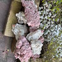 Rocce acquario marino