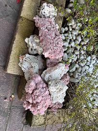 Rocce acquario marino