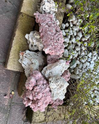 Rocce acquario marino