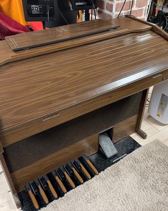 Organo Elka E19