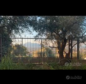 Terreno agricolo