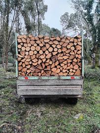 legna di leccio sardo 