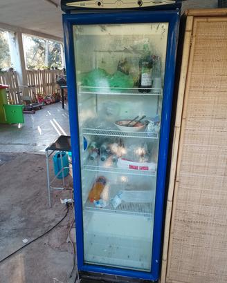 frigo 