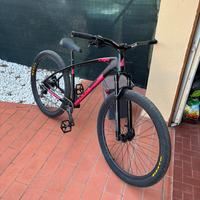 Bici. c100