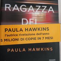 la ragazza del treno 