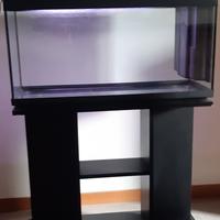acquario per pesci d'acqua dolce