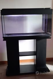 acquario per pesci d'acqua dolce