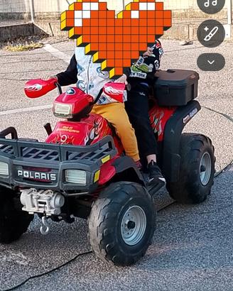 quod polaris elettrico