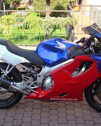 Short Carbon Honda CBR 600 F 1991/1998