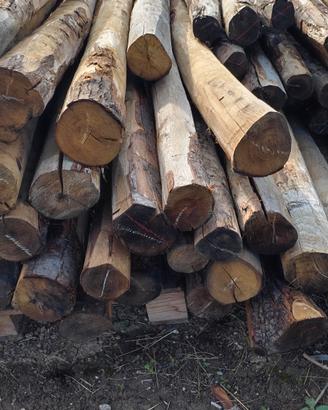 pali in castagno SCORTECCIATO 