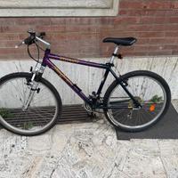 specialized stumpjumper