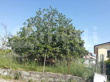 Casa Indipendente Monte San Giovanni Campano