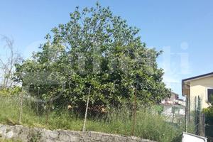 Casa Indipendente Monte San Giovanni Campano