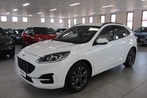 Ford Kuga 1.5 EcoBlue 120 CV aut. 2WD ST-Line