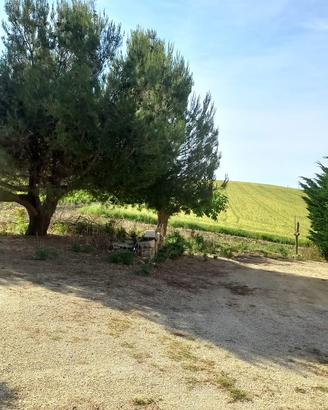 Calatafimi Segesta - Casolare con circa 4,8 ettari