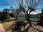 Immagine 28