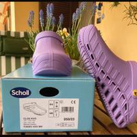 Zoccoli Scholl