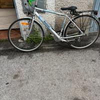 Bicicletta da passeggio