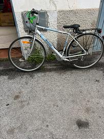 Bicicletta da passeggio